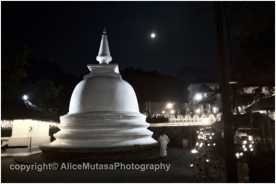 Full moon 'Vesak' puja for the Buddha's birthday at the Temple of the tooth, Kandy