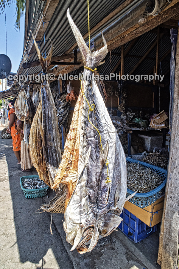 Fish shops in Trincomalee