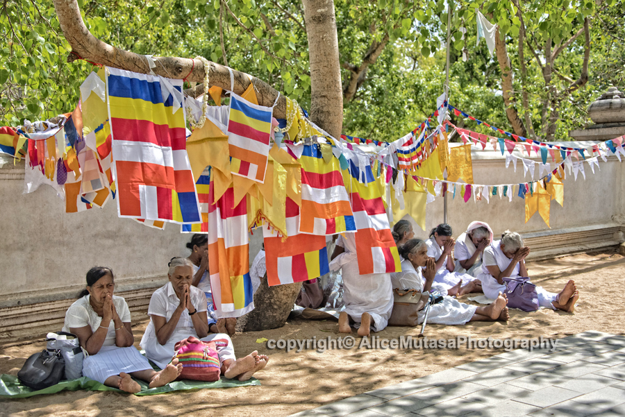 Women praying in the shade of prayer flags near the Sri Maha Bodhi