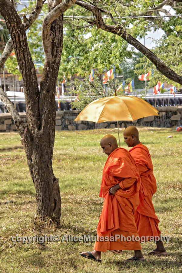 Monks, Anuradapura