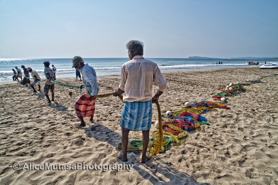 Fishermen on Uppuveli beach, pulling in the nets in the morning