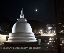 Full moon 'Vesak' puja for the Buddha's birthday at the Temple of the tooth, Kandy