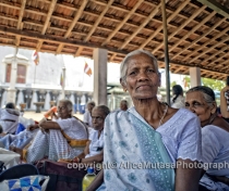 Ghana Guruge - near the Ruvanwelisaya stupa, Anuradapura