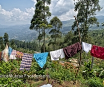 Washing day - somewhere between Kandy & Ella...