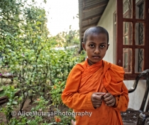 Sudhiva Vimala Darma - young monk at our local temple outside Dambulla