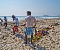 Fishermen on Uppuveli beach, pulling in the nets in the morning