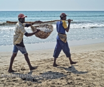 Uppuveli beach - carrying some of the day's catch home or to market