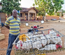 A guy I met selling chickens from his motorbike