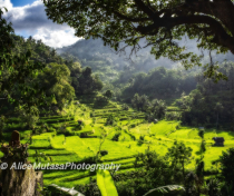 BALI-2026_075_V2