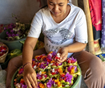 BALI-2026_166_V2