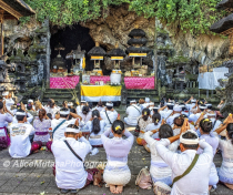 BALI-2026_174_V2