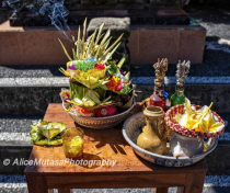 Bali-2026_186_V2