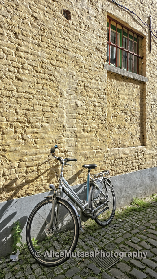 Wall & bicycle