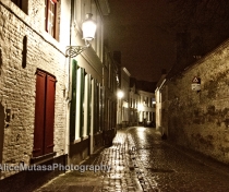 Rainy cobbles at night