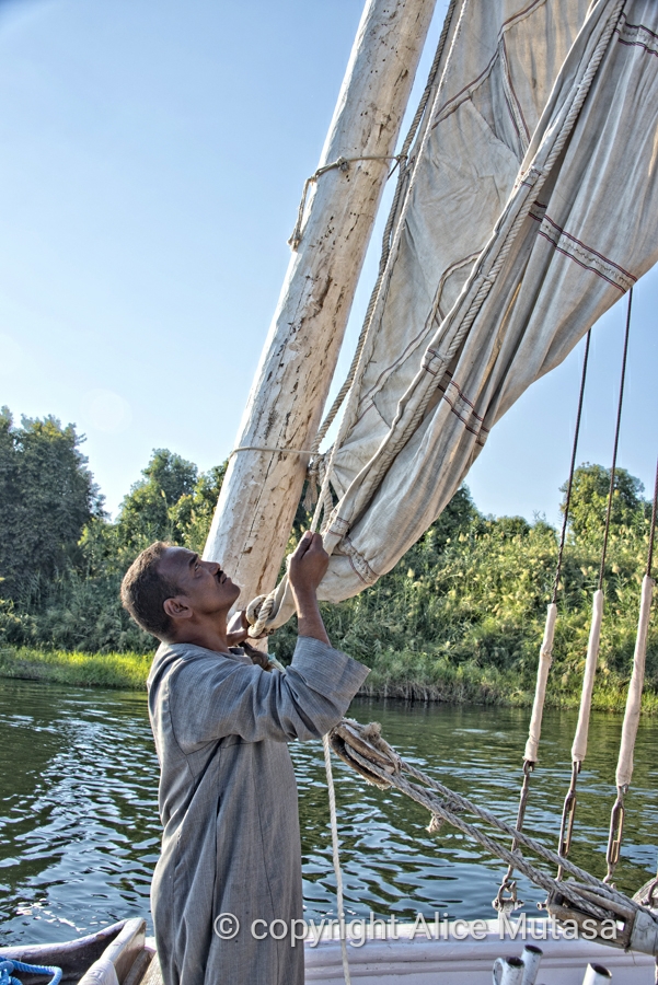 Captain Mohamed unfurling the sail on the dahabiya