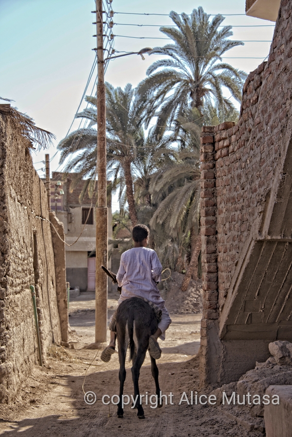 Hassein on his donkey; Herbiat village