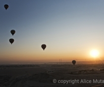 Hot air balloons over Luxor