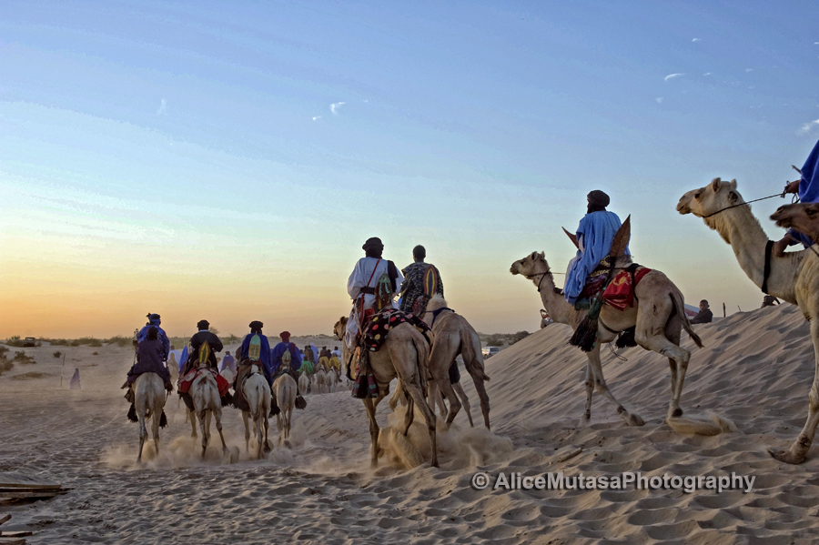 Touareg nomads on their camels heading off into the sunset....