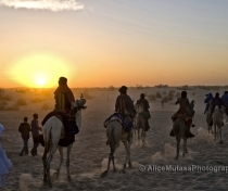 Touareg nomads on their camels heading off into the sunset....
