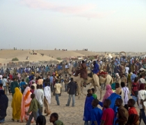 Festival au Desert / Festival in the Desert - Timbuktu, Mali