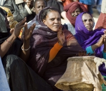 Festival au Desert / Festival in the Desert - Timbuktu, Mali