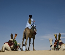 Festival au Desert / Festival in the Desert - Timbuktu, Mali