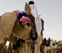 Festival au Desert / Festival in the Desert - Timbuktu, Mali