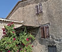 Brantes