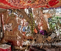 Hawat's shelter up on the hill