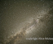 Desert stars!!