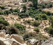 Dana Nature Reserve