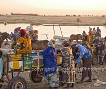 Crossing the Niger river at Djenné 02