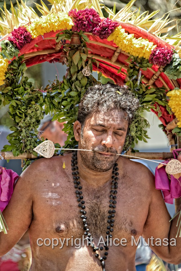 Thaipoosam Cavadee Tamil festival - at Tamil Surya Oudaya Sangam Temple - Grande Baie
