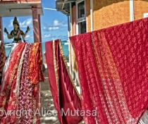 Washing day at the Ananta Maa Mandir Temple