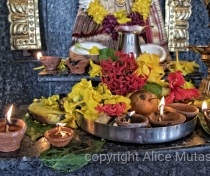 Offerings - Thaipoosam Cavadee Tamil festival - at Tamil Surya Oudaya Sangam Temple - Grande Baie
