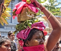 Thaipoosam Cavadee Tamil festival - at Tamil Surya Oudaya Sangam Temple - Grande Baie