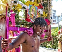 Thaipoosam Cavadee Tamil festival - at Tamil Surya Oudaya Sangam Temple - Grande Baie