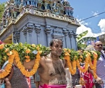Thaipoosam Cavadee Tamil festival - at Tamil Surya Oudaya Sangam Temple - Grande Baie