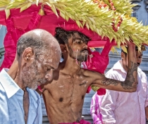 Thaipoosam Cavadee Tamil festival - at Tamil Surya Oudaya Sangam Temple - Grande Baie