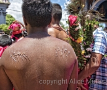 Thaipoosam Cavadee Tamil festival - at Tamil Surya Oudaya Sangam Temple - Grande Baie