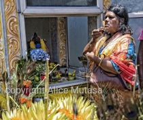 Thaipoosam Cavadee Tamil festival - at Tamil Surya Oudaya Sangam Temple - Grande Baie