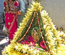 Thaipoosam Cavadee Tamil festival - at Tamil Surya Oudaya Sangam Temple - Grande Baie