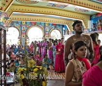 Thaipoosam Cavadee Tamil festival - at Tamil Surya Oudaya Sangam Temple - Grande Baie