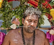 Thaipoosam Cavadee Tamil festival - at Tamil Surya Oudaya Sangam Temple - Grande Baie