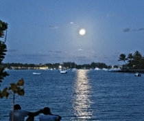 Moon watchers....