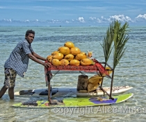 Cedric & his floating coconut stall