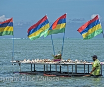 Floating shell shop