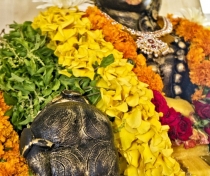 Ananta Maa Mandir Temple