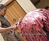 Fez-2015_139_V2