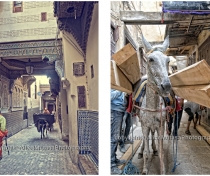 Fez Medina